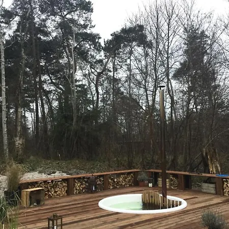 The Pinefarm Homestay *