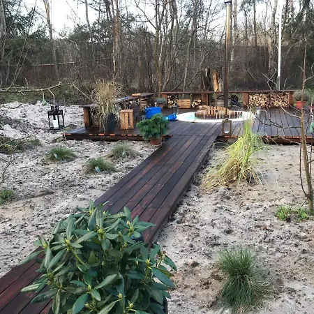 The Pinefarm *